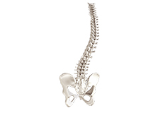 Spine Deformity Surgery