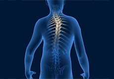 Spine Deformities